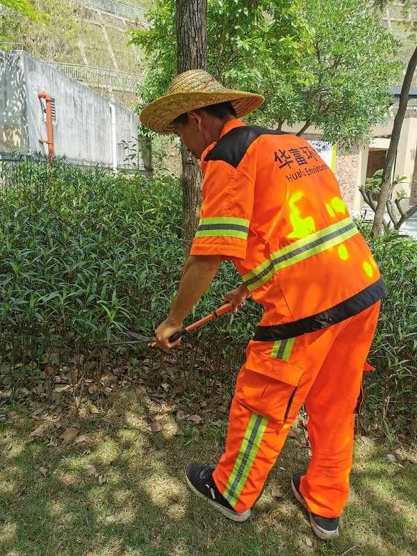 城市环卫绿化管养包括哪些事项